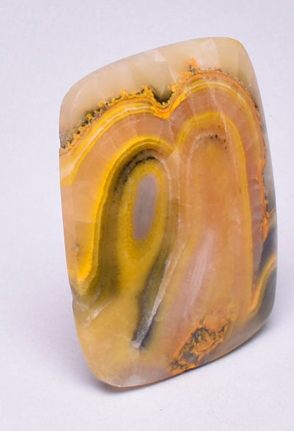 BUMBLE BEE JASPER Polished Cabochon J233