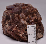 LEPIDOLITE CRYSTAL TUMBLE M11