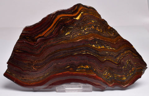 BANDED TIGER IRON Polished Slice, AUSTRALIA S284