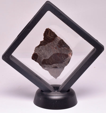 Stromatolite Inzeria Intia Fossil Polished Slice, N.T Australia S552
