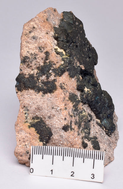 CHALCOCITE with PYRITE on QUARTZITE. Broken Hill NSW M03