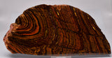 BANDED TIGER IRON FOSSIL Polished Slice, AUSTRALIA S395