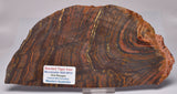 BANDED TIGER IRON FOSSIL Polished Slice, AUSTRALIA S395