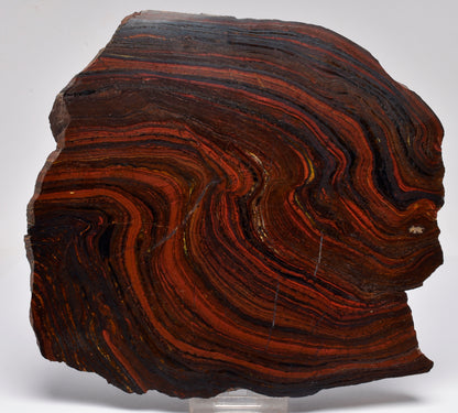 BANDED TIGER IRON Polished Slice, AUSTRALIA S399