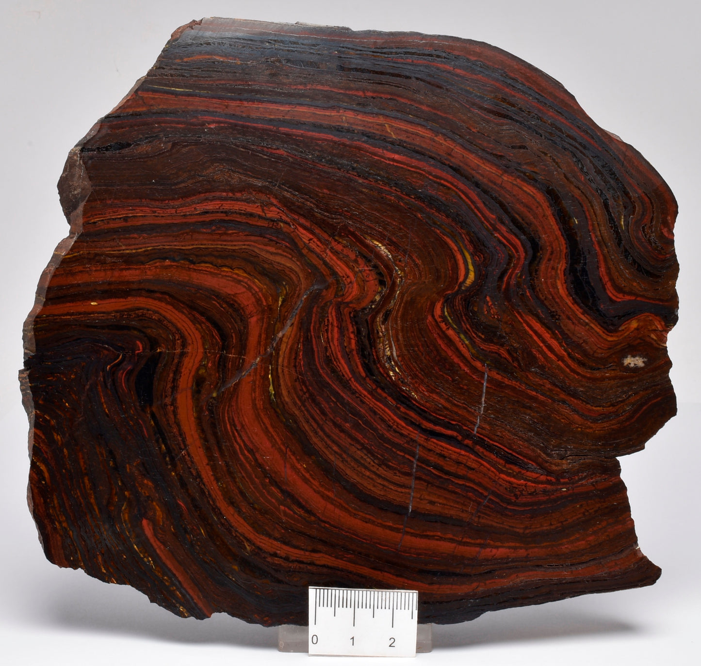 BANDED TIGER IRON Polished Slice, AUSTRALIA S399