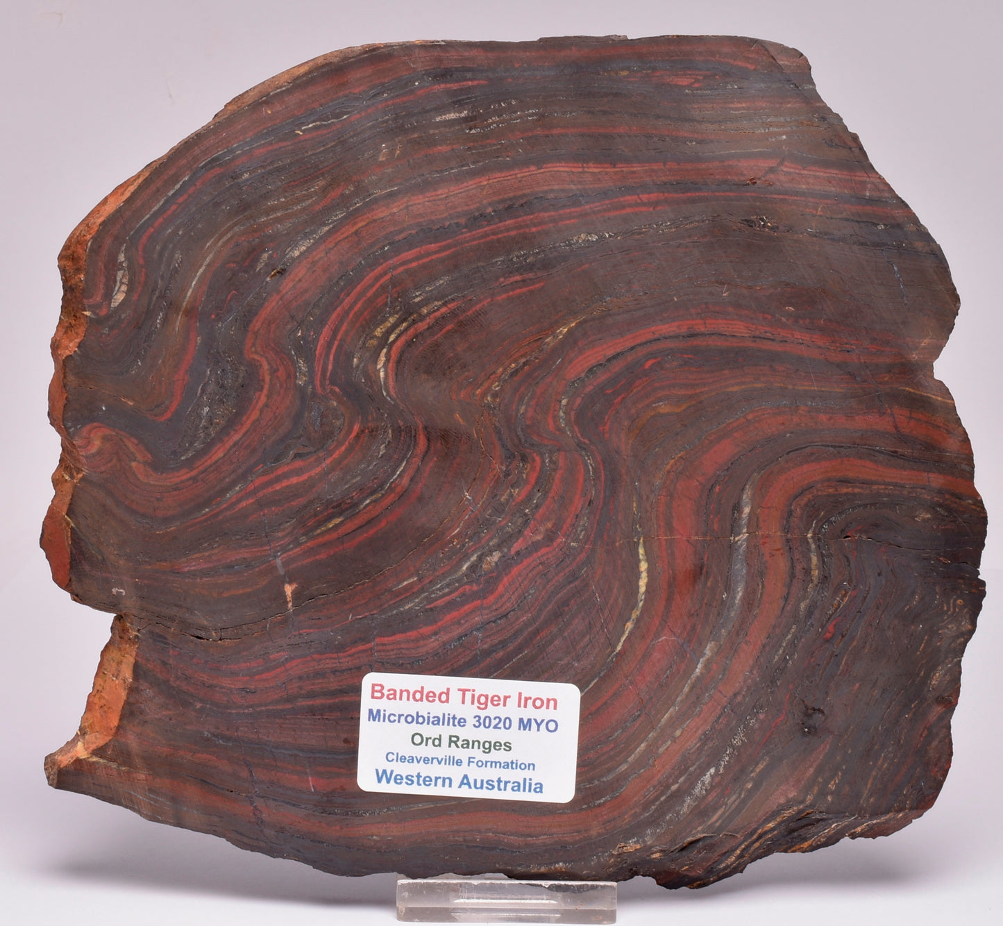 BANDED TIGER IRON Polished Slice, AUSTRALIA S399