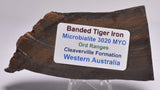 BANDED TIGER IRON FOSSIL Polished Slice, AUSTRALIA S419