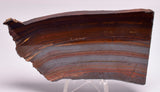 BANDED TIGER IRON FOSSIL Polished Slice, AUSTRALIA S419