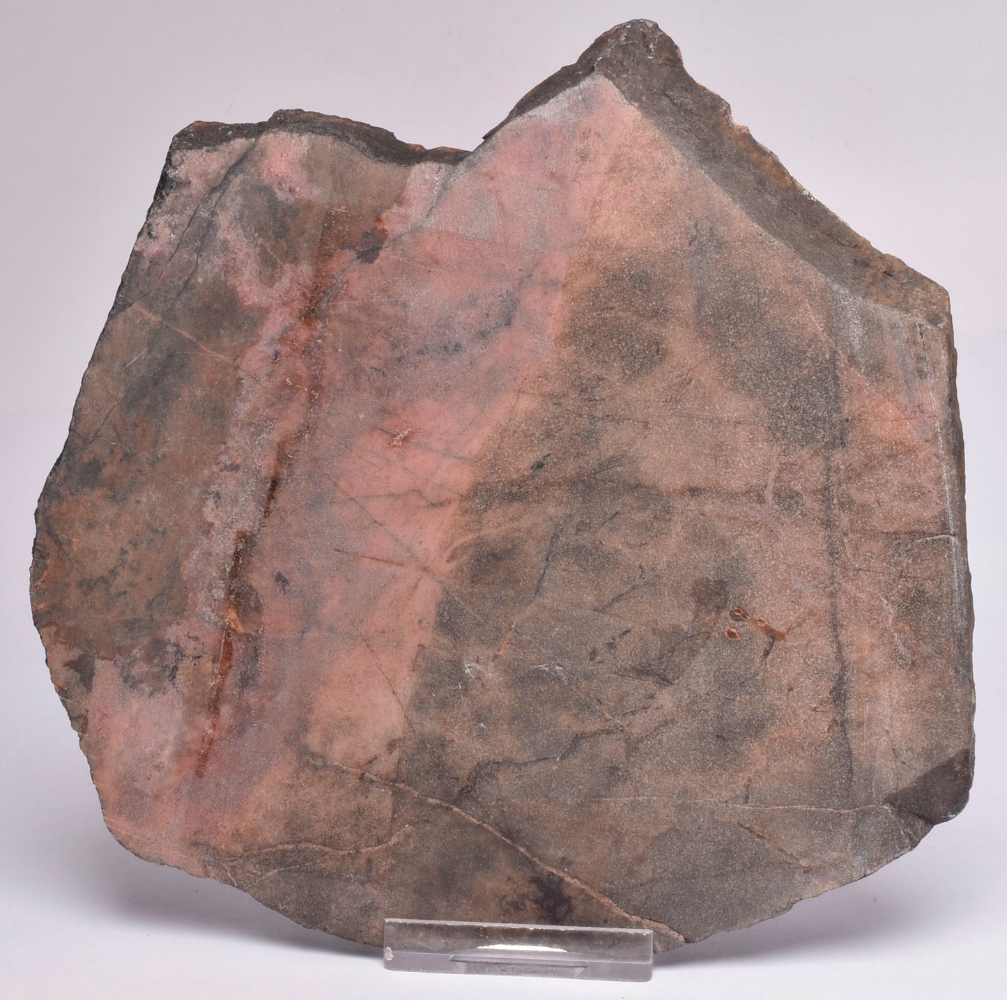 RHODONITE POLISHED SLICE, AUSTRALIA S496