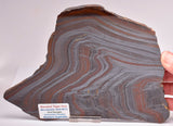 BANDED TIGER IRON Polished Slice, AUSTRALIA S504