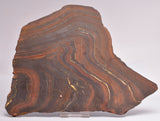 BANDED TIGER IRON Polished Slice, AUSTRALIA S504