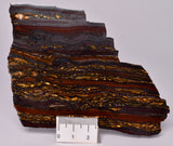 BANDED TIGER IRON Polished Slice, AUSTRALIA S565