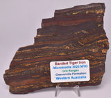 BANDED TIGER IRON Polished Slice, AUSTRALIA S565