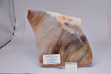 Stromatolite Slice, Middle Proterozoic,, Gunyidi, Western Australia S592