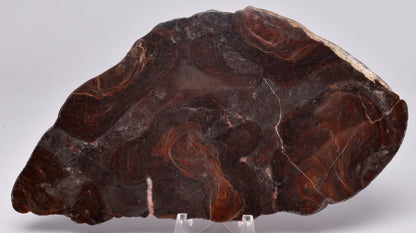 STROMATOLITE, MICROBIALITE Linella avis PROTEROZOIC, FOSSIL S625