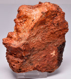 MICROBIAL MAT, Stromatolite STRELLEY POOL SLICE, S647