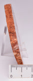 ZIRCON, Metaconglomerate Narryer Gneiss Slice, Jack Hills, Australia S650