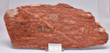 ZIRCON, Metaconglomerate Narryer Gneiss Slice, Jack Hills, Australia S653