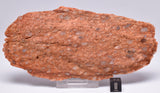 ZIRCON, Metaconglomerate Narryer Gneiss Slice, Jack Hills, Australia S654