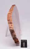 ZIRCON, Metaconglomerate Narryer Gneiss Slice, Jack Hills, Australia S655