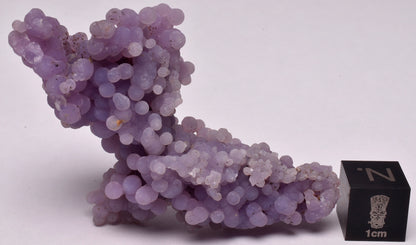 GRAPE AGATE CLUSTER P562