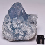 CELESTITE CRYSTAL CLUSTER, Madagascar, P678