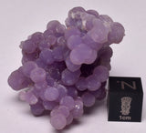 GRAPE AGATE CLUSTER P684