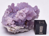 GRAPE AGATE CLUSTER P574