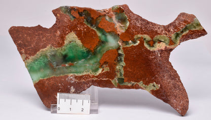 CHRYSOPRASE POLISHED SLICE S777