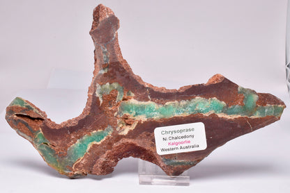 CHRYSOPRASE POLISHED SLICE S783