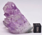 AMETHYST CRYSTAL CLUSTER P659