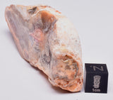 AGATE CREEK, Polished AGATE, AUSTRALIA S785