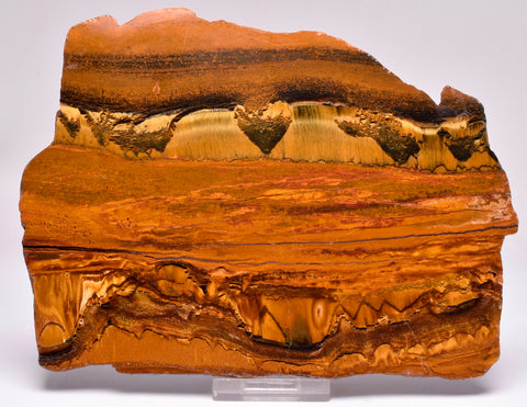 MARRA MAMBA TIGER EYE Polished Slice, Microbialite, Australia S798