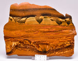 MARRA MAMBA TIGER EYE Polished Slice, Microbialite, Australia S798