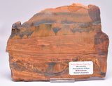 MARRA MAMBA TIGER EYE Polished Slice, Microbialite, Australia S798