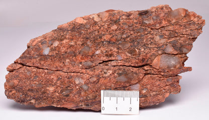 ZIRCON, Metaconglomerate Narryer Gneiss Fossil, Jack Hills, Australia S808