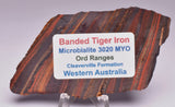 BANDED TIGER IRON Polished Slice, AUSTRALIA S609