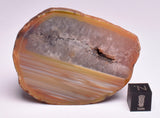 AGATE CREEK, Polished AGATE, AUSTRALIA S620