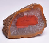 AGATE CREEK, Polished AGATE, AUSTRALIA S616