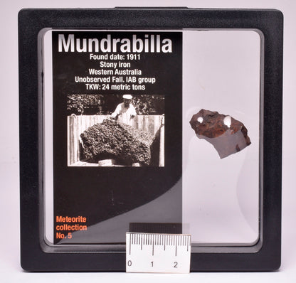 MUNDRABILLA IRON METEORITE MT65