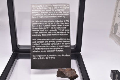 MUNDRABILLA IRON METEORITE MT65