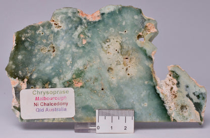 CHRYSOPRASE Polished CRYSTAL Slice, 155g, QLD Australia S703