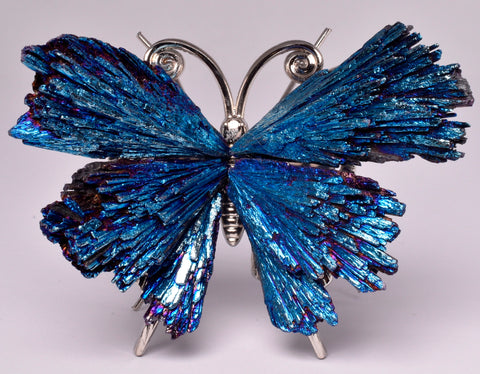 TITANIUM AURA KYANITE BUTTERFLY P417