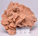 DESERT ROSE FROM Morocco M17