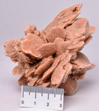 DESERT ROSE FROM Morocco M17