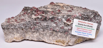 ALMANDINE GARNET, QUARTZ AND BIOTITE, AUSTRALIAN ANTARTIC TERRITORY M15