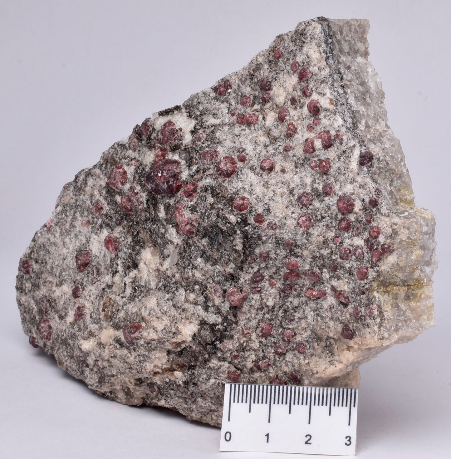 ALMANDINE GARNET, QUARTZ AND BIOTITE, AUSTRALIAN ANTARTIC TERRITORY M15