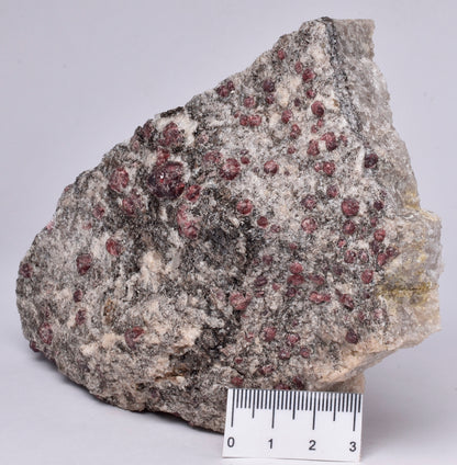 ALMANDINE GARNET, QUARTZ AND BIOTITE, AUSTRALIAN ANTARTIC TERRITORY M15