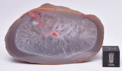 AGATE CREEK, Polished AGATE, AUSTRALIA S876