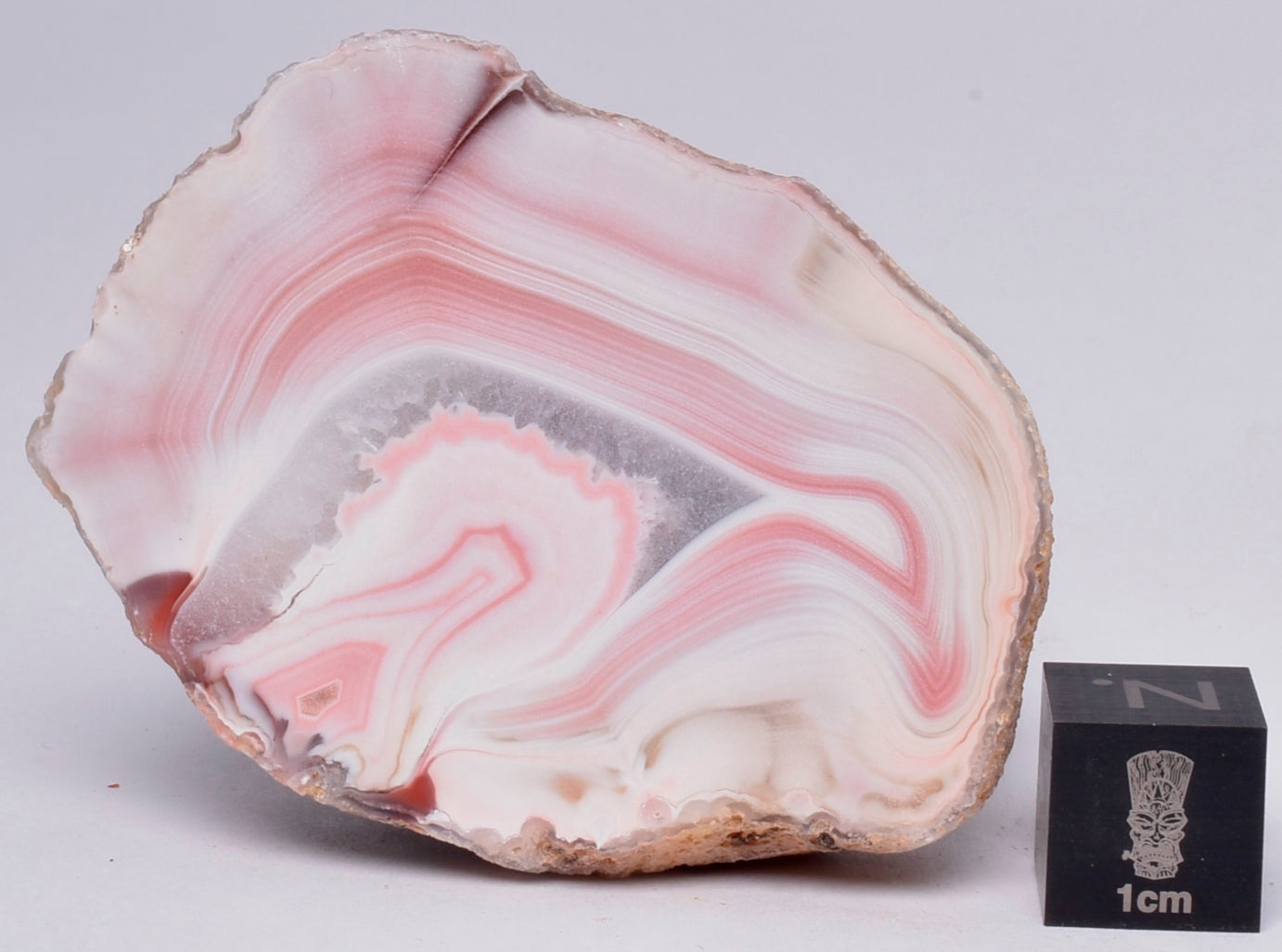 AGATE CREEK, Polished AGATE, AUSTRALIA S873